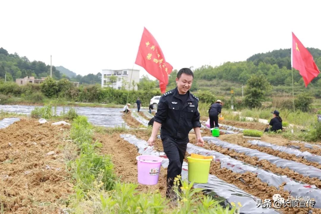 贵州省广顺镇最新新闻报告发布