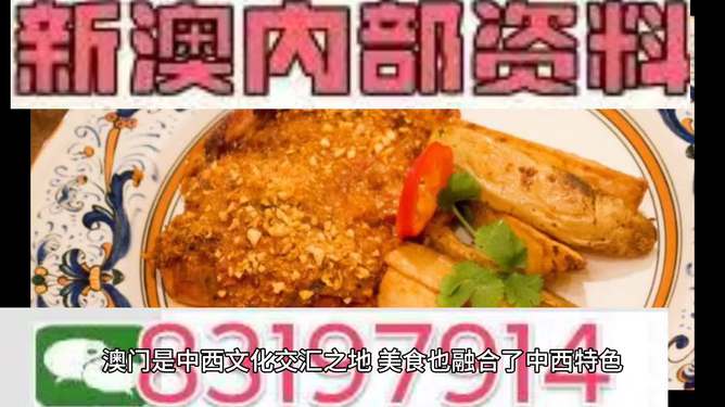 新澳门精准资料大全管家婆料,动态解析词汇_DP37.997