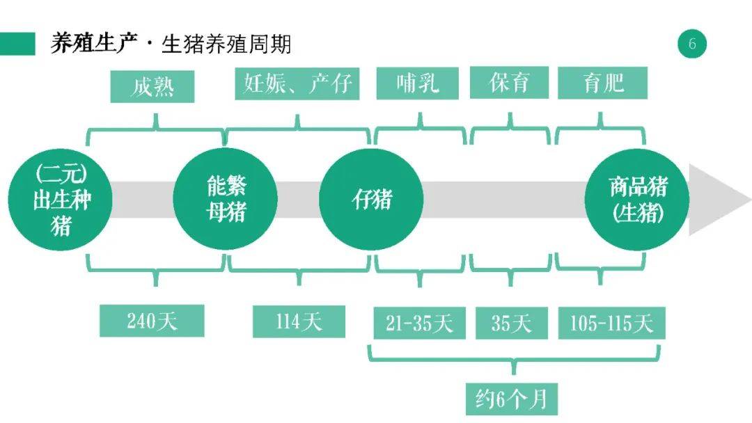 新奥资料免费期期精准,重要性说明方法_复刻款96.564