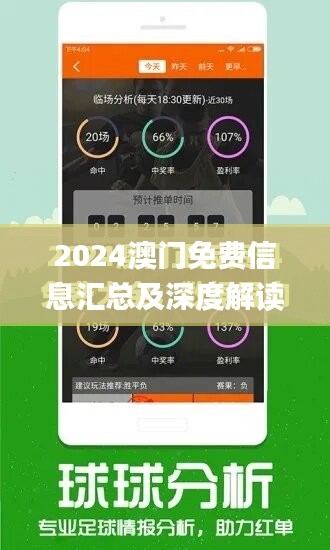 2024年澳门精准免费大全,迅捷解答计划落实_10DM14.628