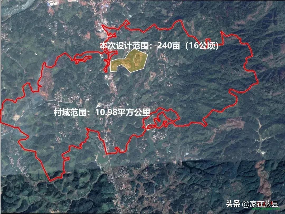 太平镇乡新项目，引领乡村发展的强大动力源泉