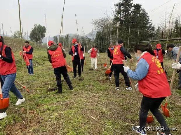 芜湖县民政局最新招聘信息全面解析