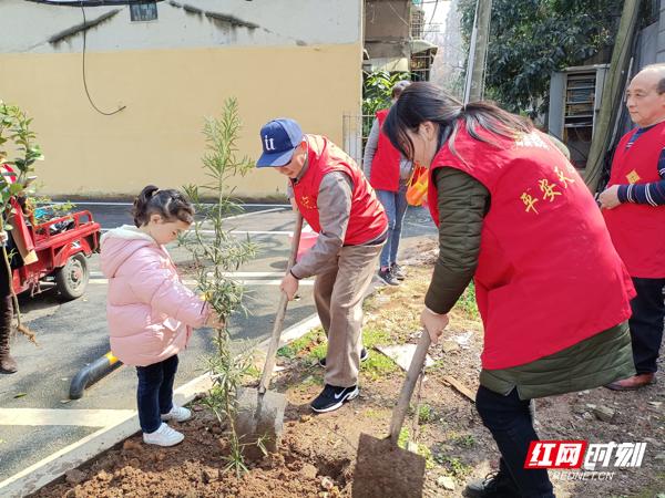 茶花社区最新招聘信息总览