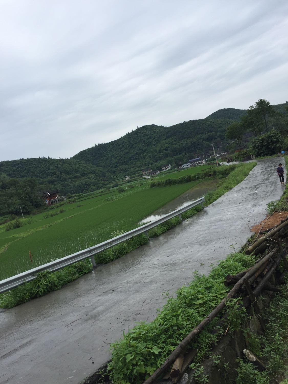 大甘沟村委会天气预报更新通知