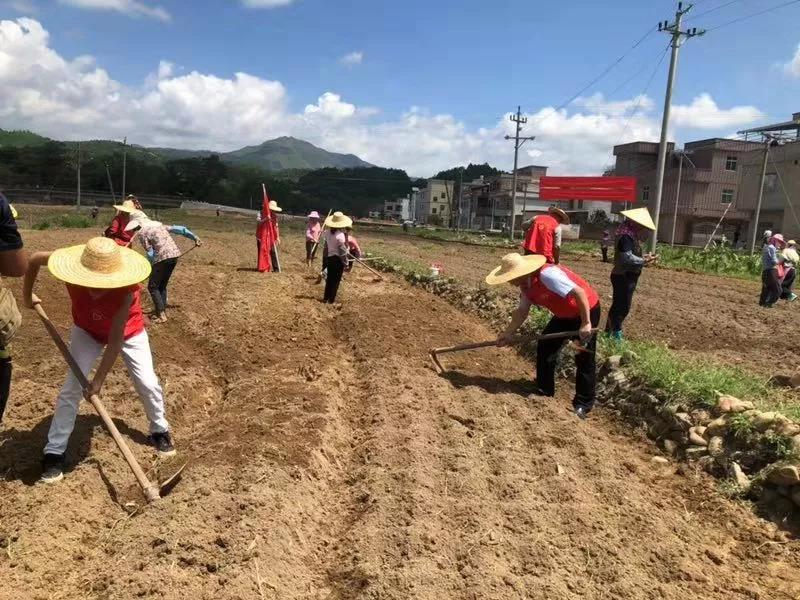 连平县农业农村局最新动态报道