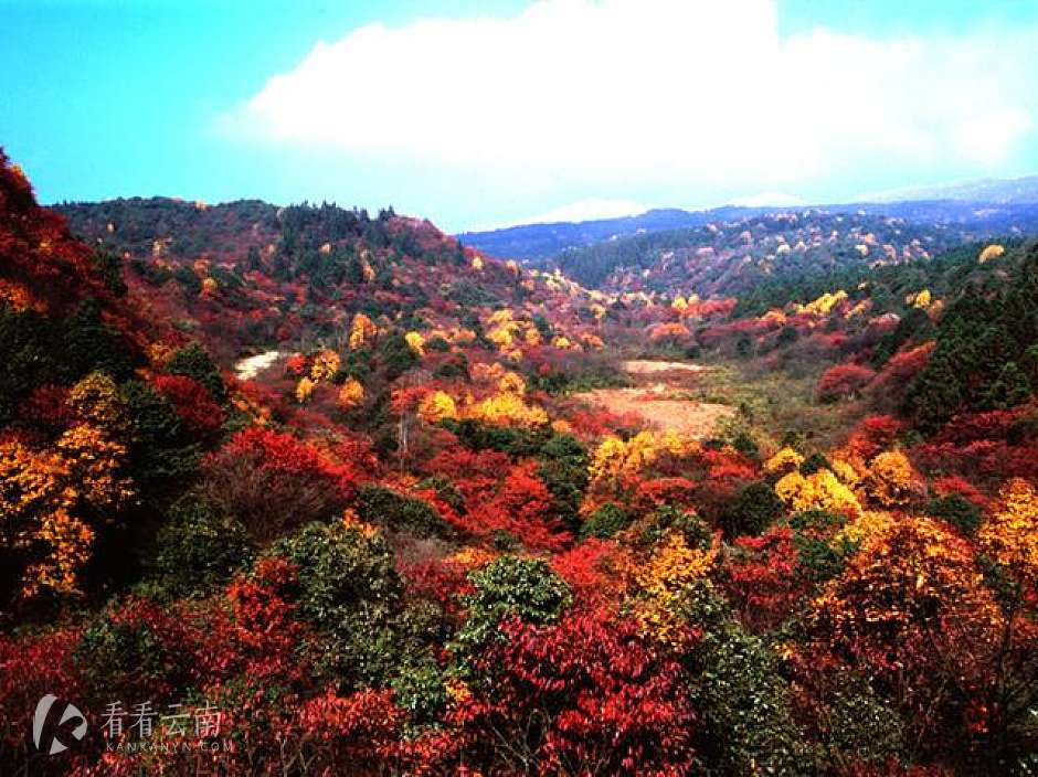 小草坝乡天气预报更新通知