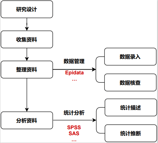 新澳王中王资料大全,数据驱动执行设计_探索版19.567