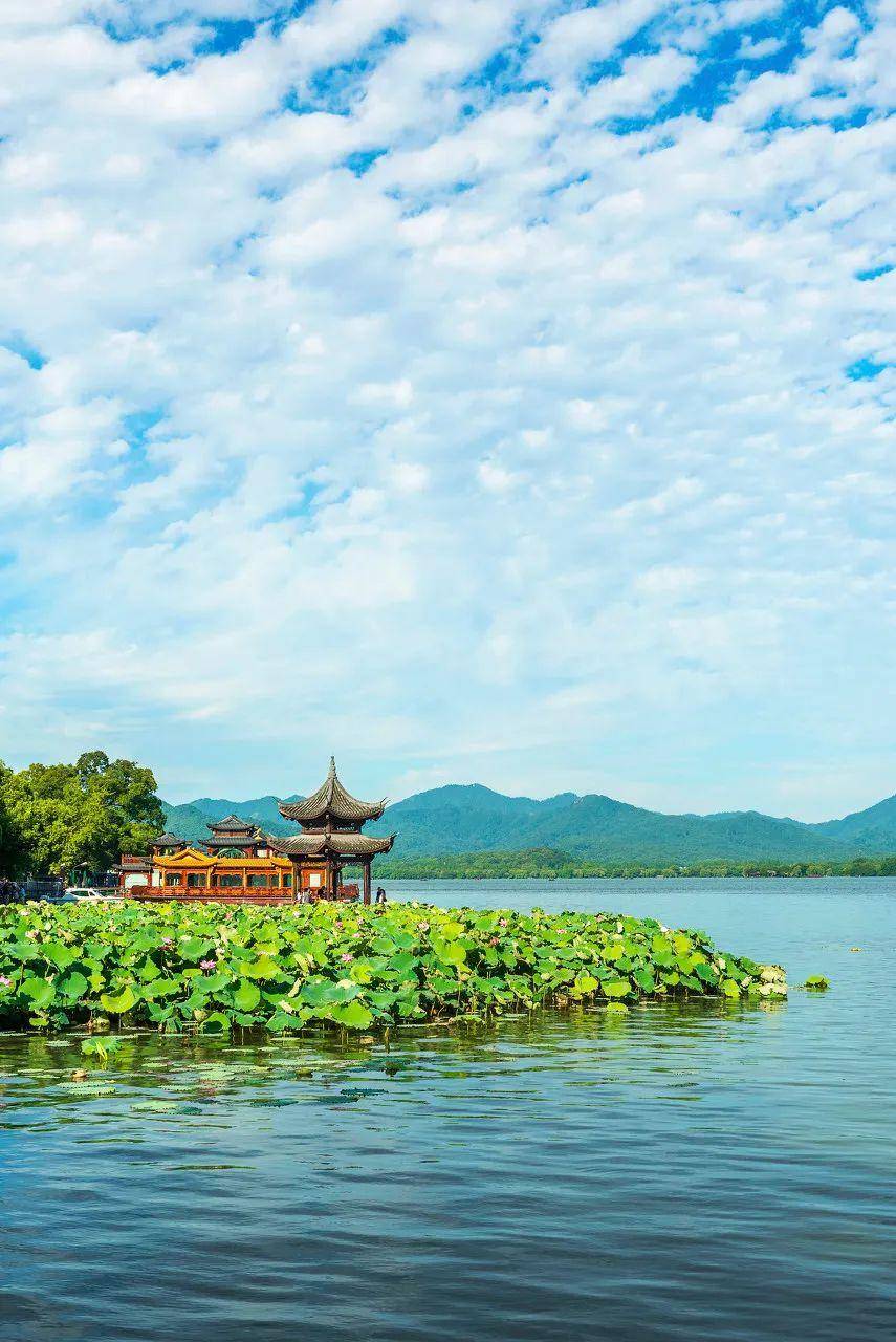 杭州市西湖风景名胜区最新动态，湖光山色绽放，新兴旅游趋势引领风潮