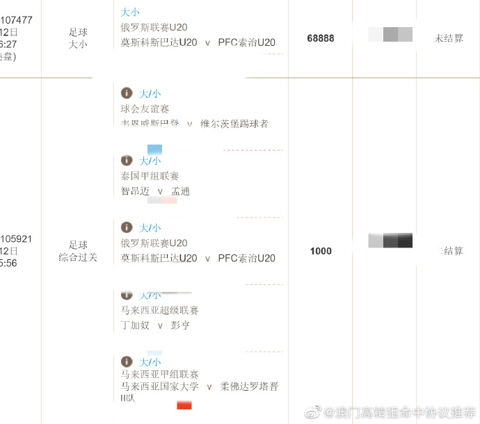 王中王精准资料期期中澳门高手,高度协调策略执行_标准版90.65.32