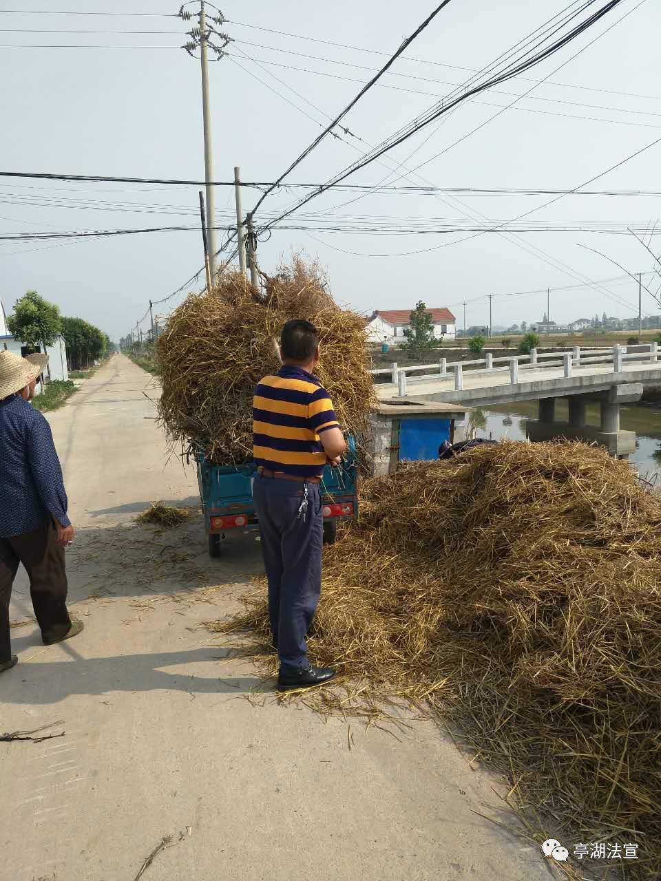 亭湖区特殊教育事业单位领导团队最新概述