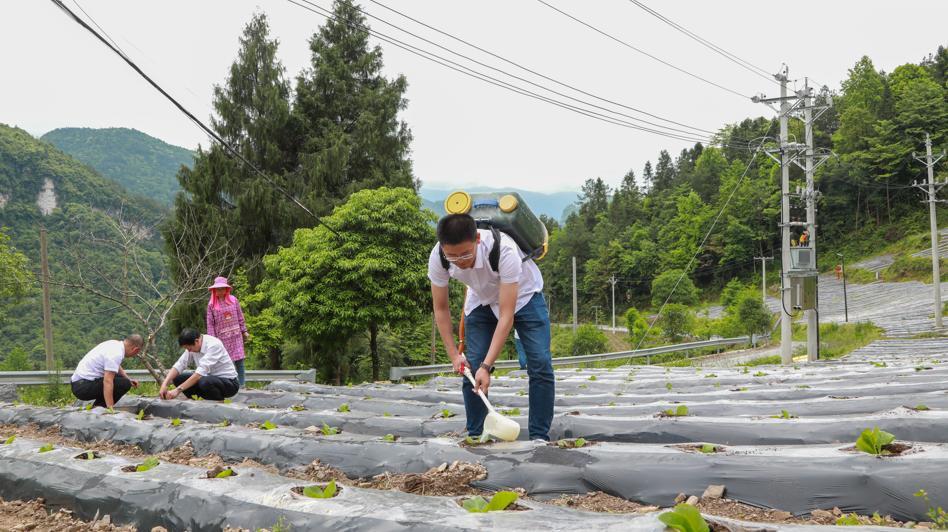 恩施市市场监督管理局发布最新动态