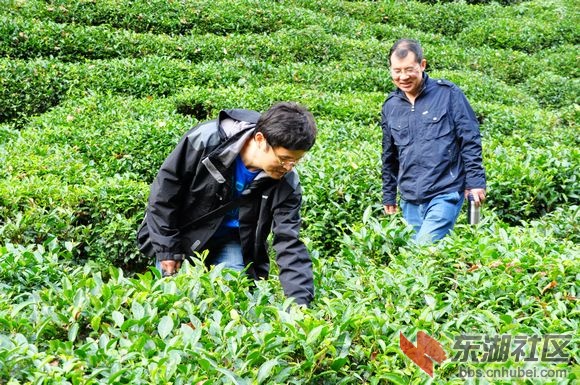 邵阳市茶铺茶场交通新闻更新