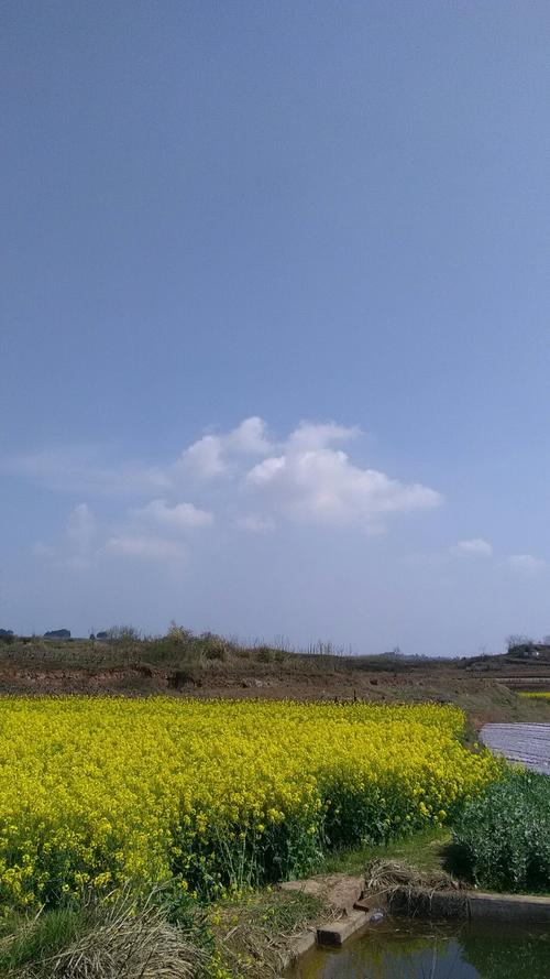 峡城乡天气预报更新通知