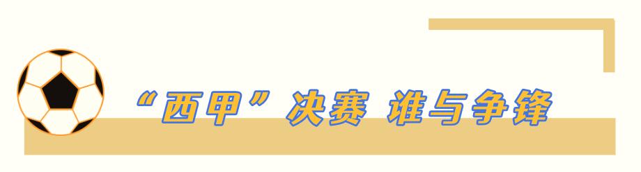 三区体育局最新动态，迈向体育事业新高度