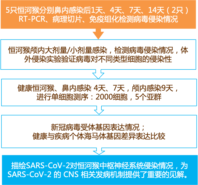 新奥资料免费精准,实效性解析解读策略_基础版45.743