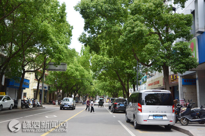 龙柏街道天气预报更新通知