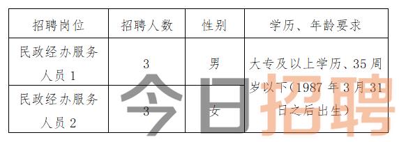 大冶市民政局最新招聘公告全面解析