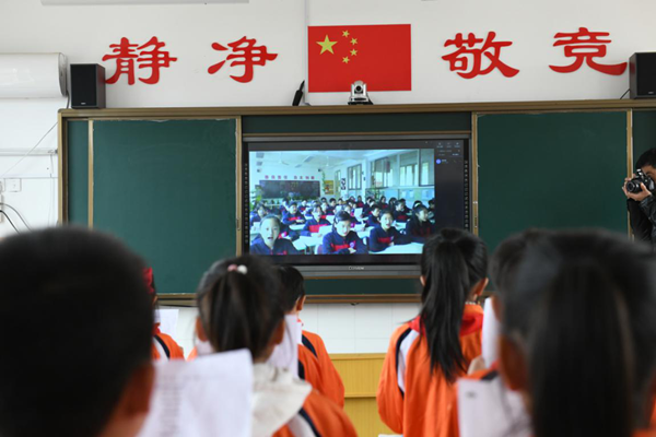 临清市小学最新动态报道